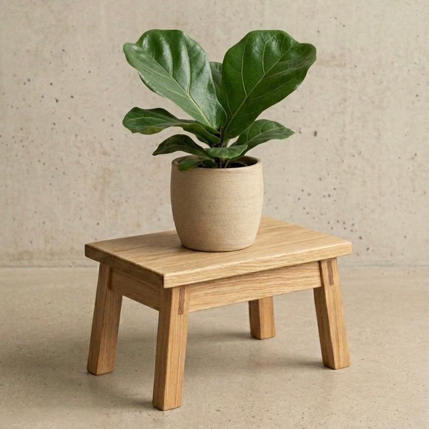 MY NEXT STEP
- for little explorers